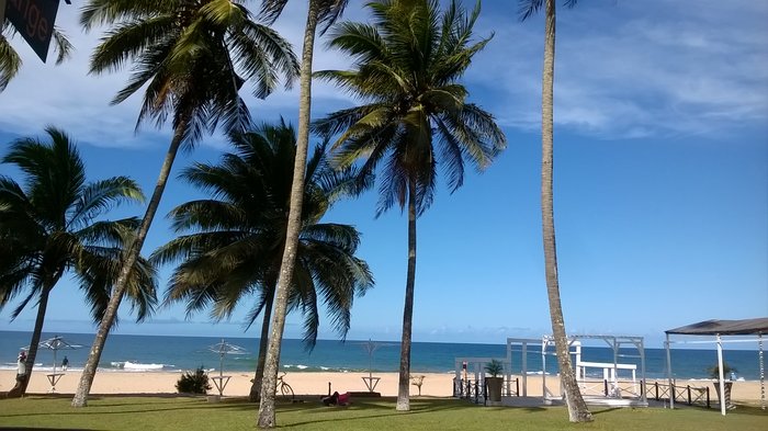 WP_20161120_003.jpg