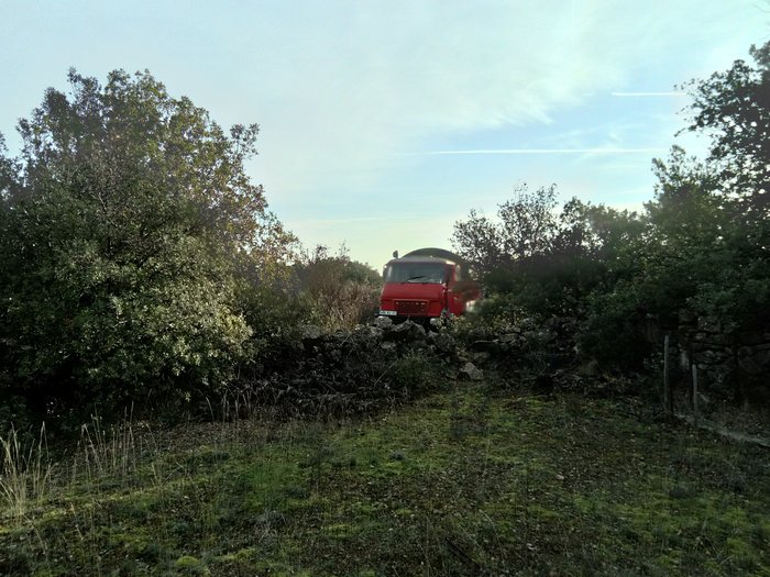 DSC_1126.JPG
