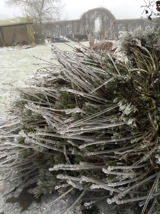 IMG_3211 - Copie.JPG