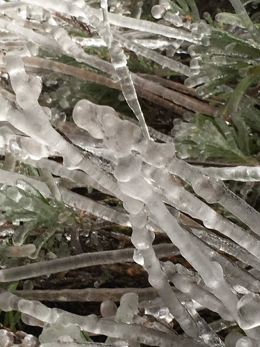 IMG_3212 - Copie.JPG