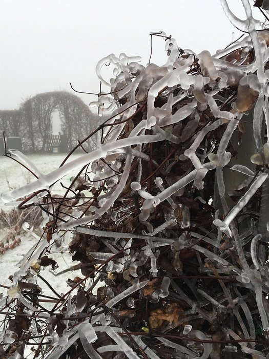 IMG_3213 - Copie.JPG