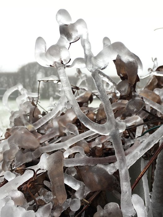 IMG_3214 - Copie.JPG