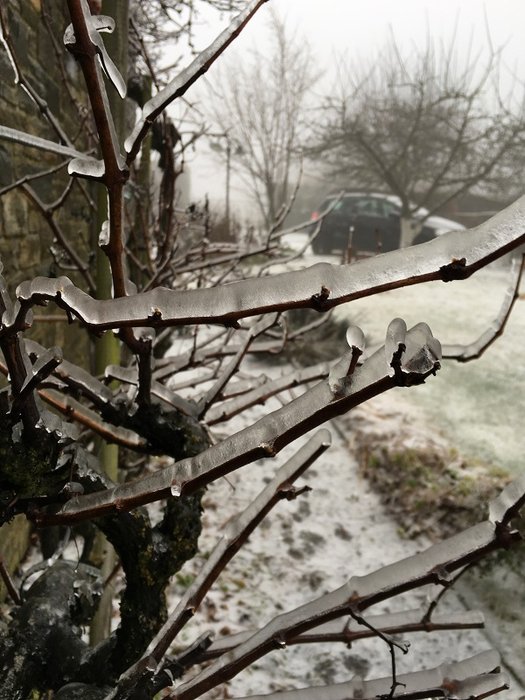 IMG_3215 - Copie.JPG