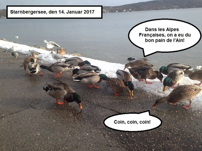 Coin, coin!.jpg