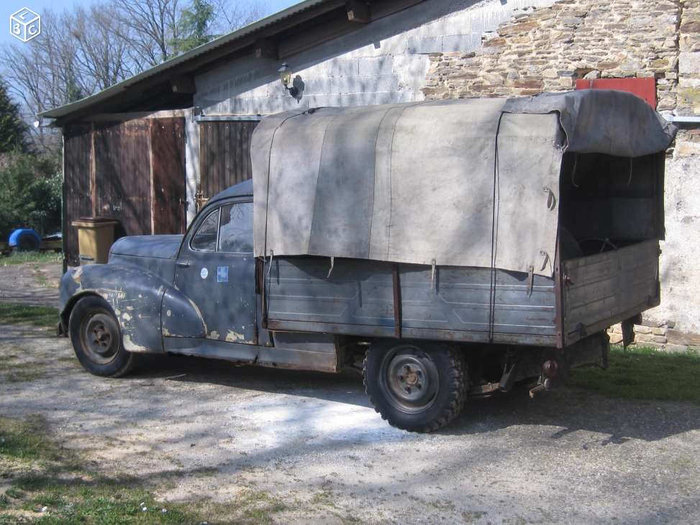 203.jpg