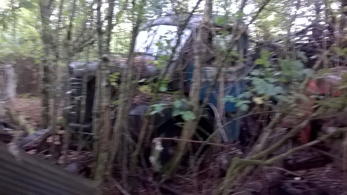 WP_20161001_033.jpg