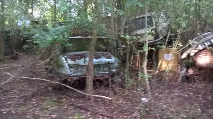 WP_20161001_028.jpg