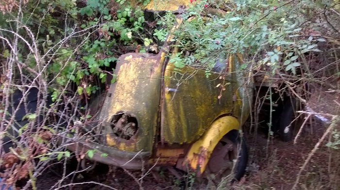 WP_20161001_044.jpg