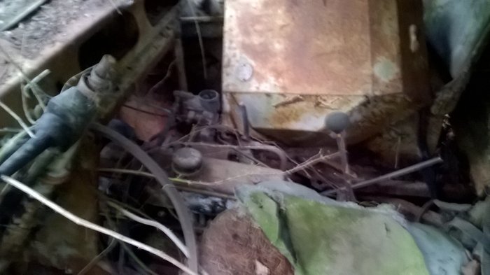 WP_20161001_043.jpg