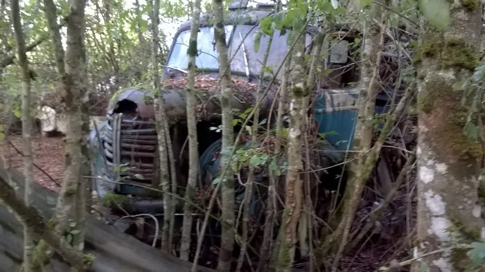 WP_20161001_039.jpg