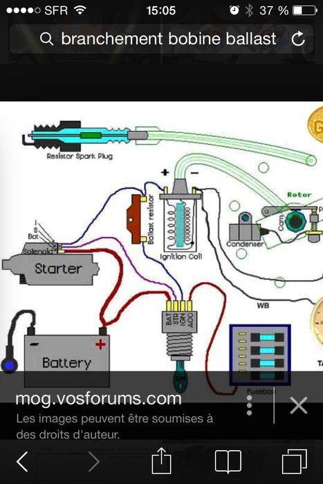 image25.jpg