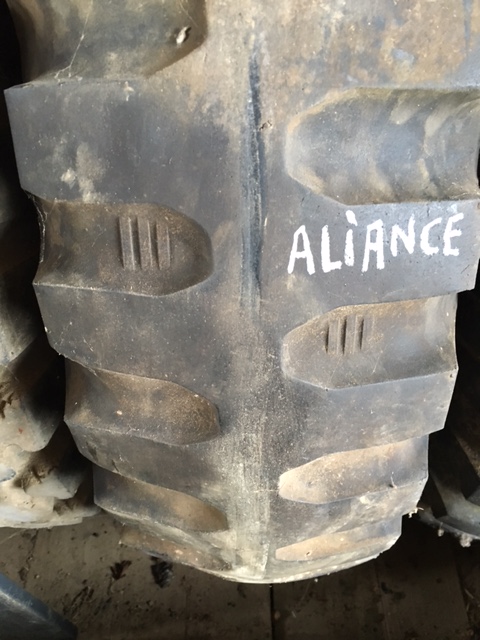 Alliance(2).JPG