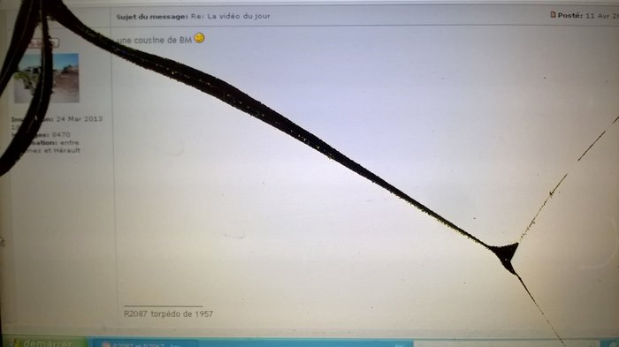 WP_20170411_006.jpg
