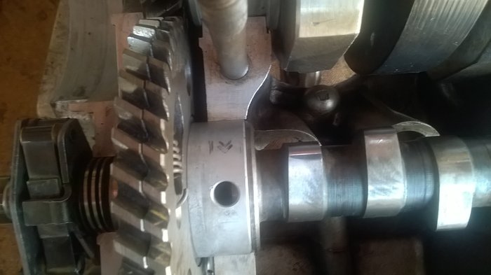 WP_20170412_008.jpg