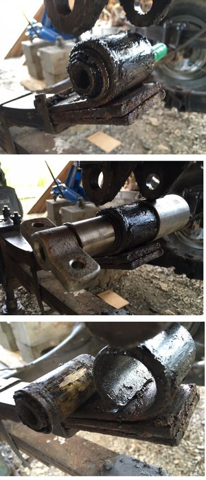 20170423 extractions SB lame dr.jpg