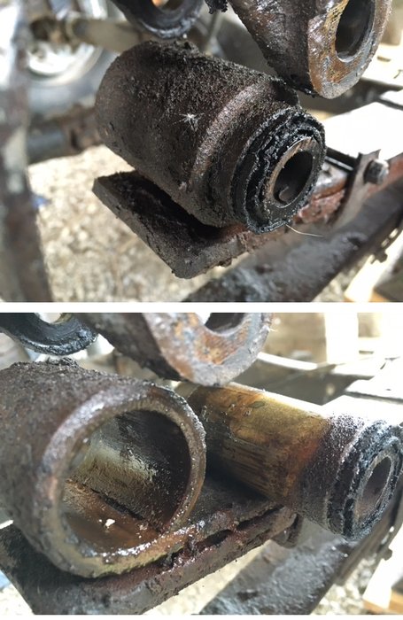 20170423 extractions SB lame ga.jpg