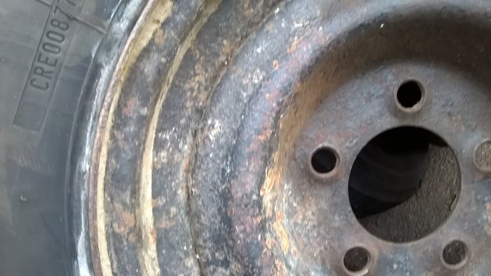 WP_20170428_008.jpg