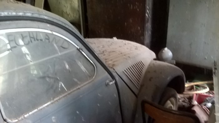 WP_20170505_013.jpg