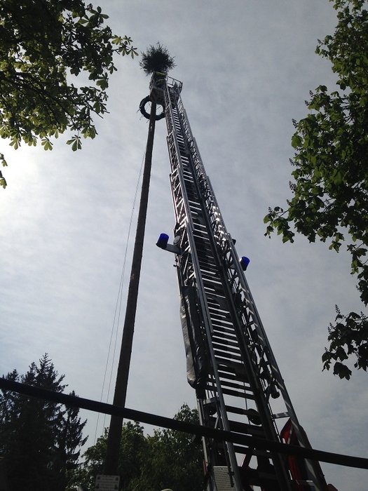 Maibaum 02.jpg