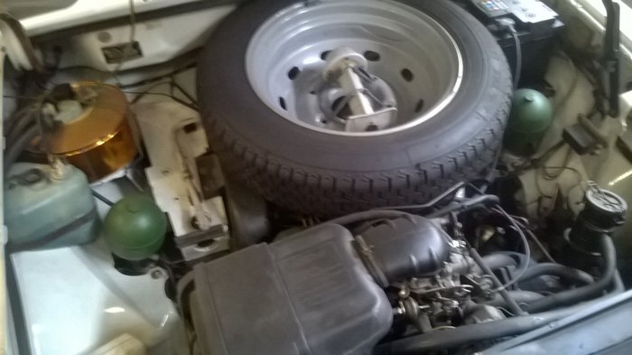 WP_20170513_009.jpg