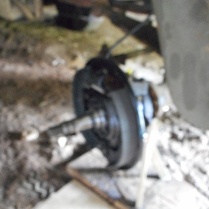 DSCN0736.JPG