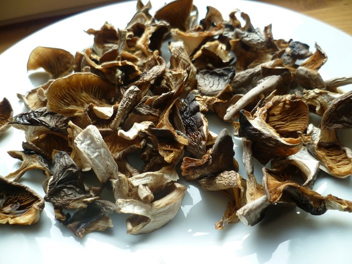 Petits gris 1.jpg