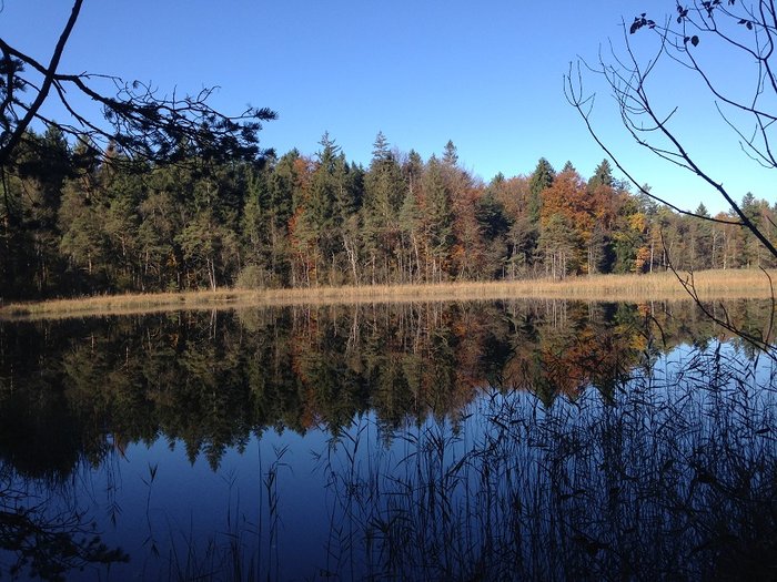 Vadrouille Automne 03.jpg