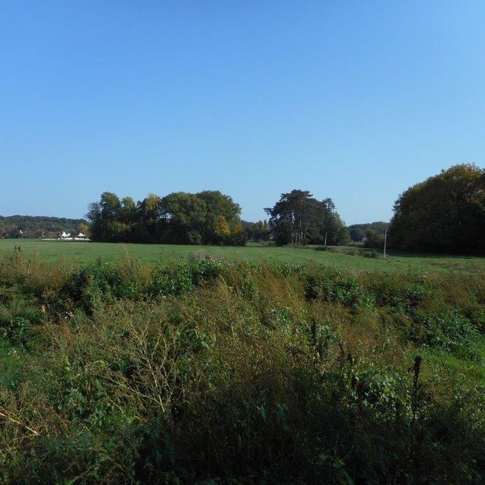DSCN1276.jpg