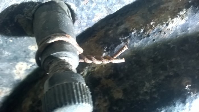 WP_20171110_002.jpg