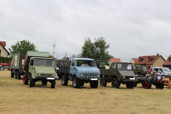 IMG_2780 bis (2).jpg