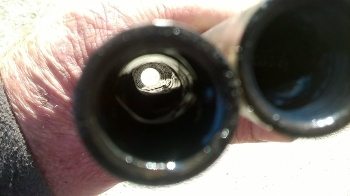 WP_20170409_005.jpg