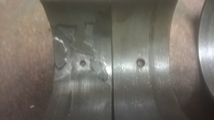 WP_20180130_008.jpg