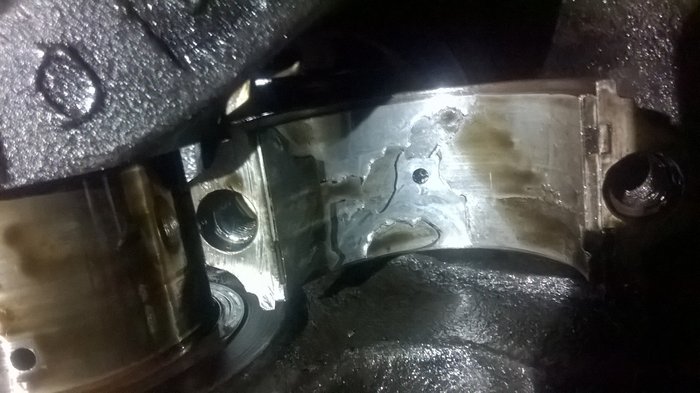 WP_20180130_004.jpg