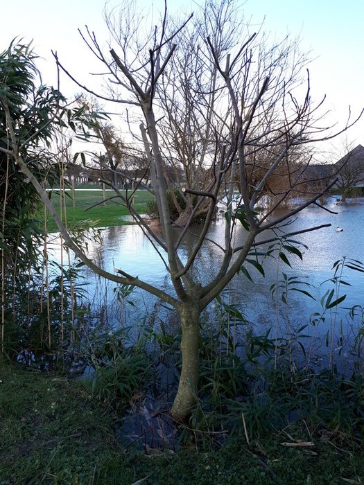 20180201_150407.jpg