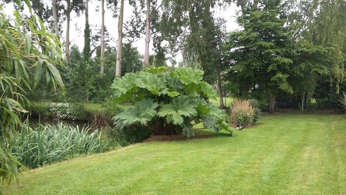 20160620_081749_resized_2.jpg