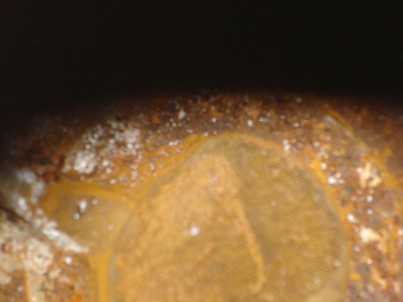 DSC05195.JPG