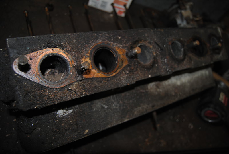 DSC_1177.JPG