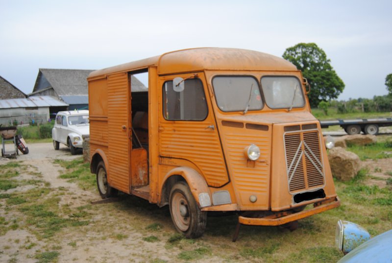 DSC_0981.JPG