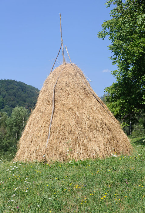1200px-Foin_meule_Roumanie.jpg