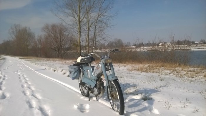 WP_20180301_003.jpg