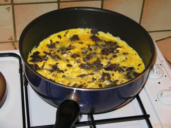 omelette-au-truffe.jpg