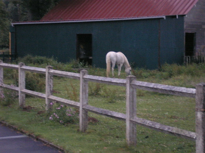 P1010385.JPG
