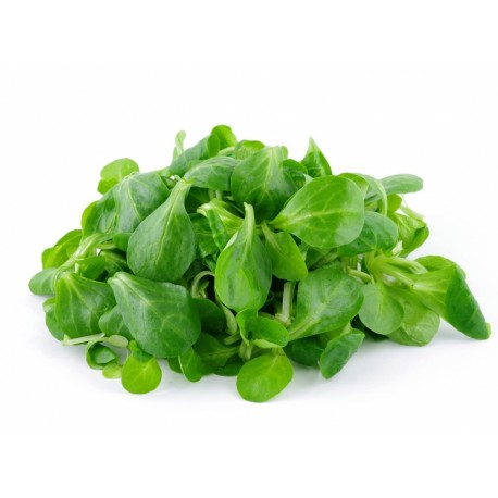 mache-250g-bio.jpg