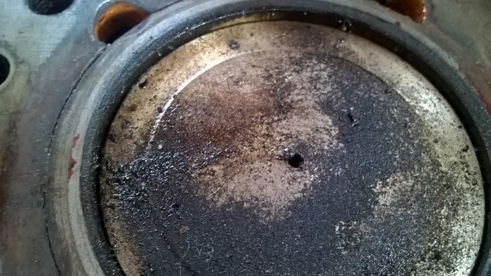 WP_20180420_005.jpg