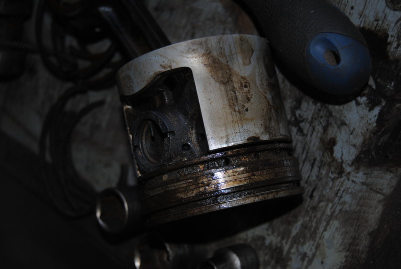 DSC_1281.JPG