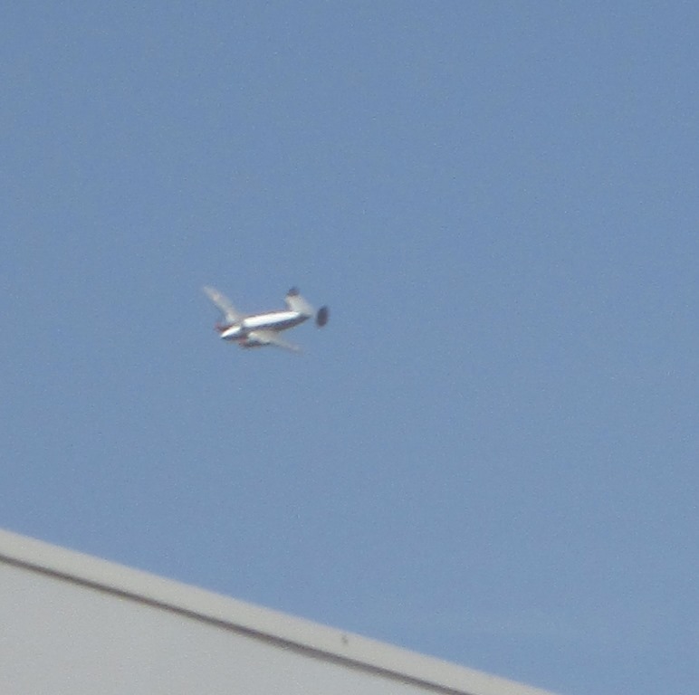 IMG_1139.JPG