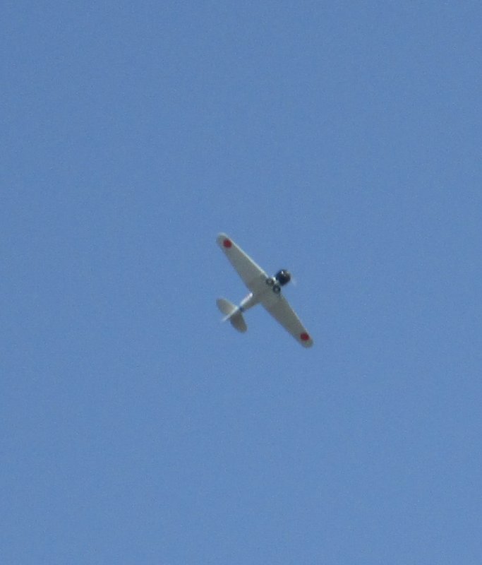 IMG_1140.JPG