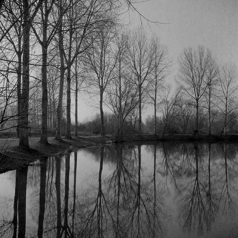 scan0006.jpg