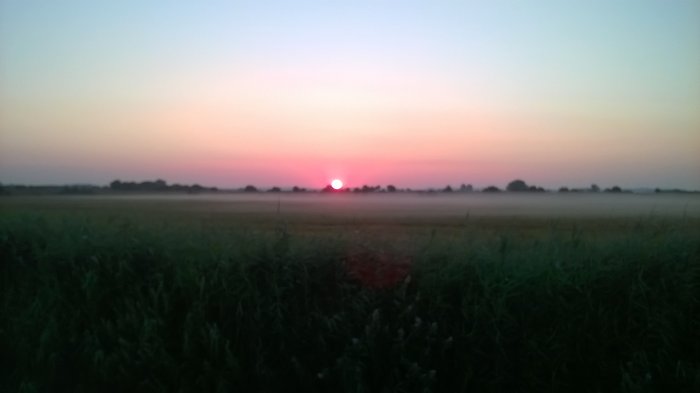 WP_20180715_002.jpg