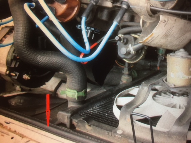 image1 (7).jpeg